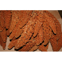 2 kg franz. Kolbenhirse Rote 