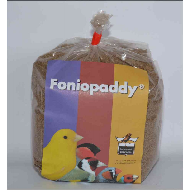 Foniopaddy 1 kg Foniopaddy 1 kg